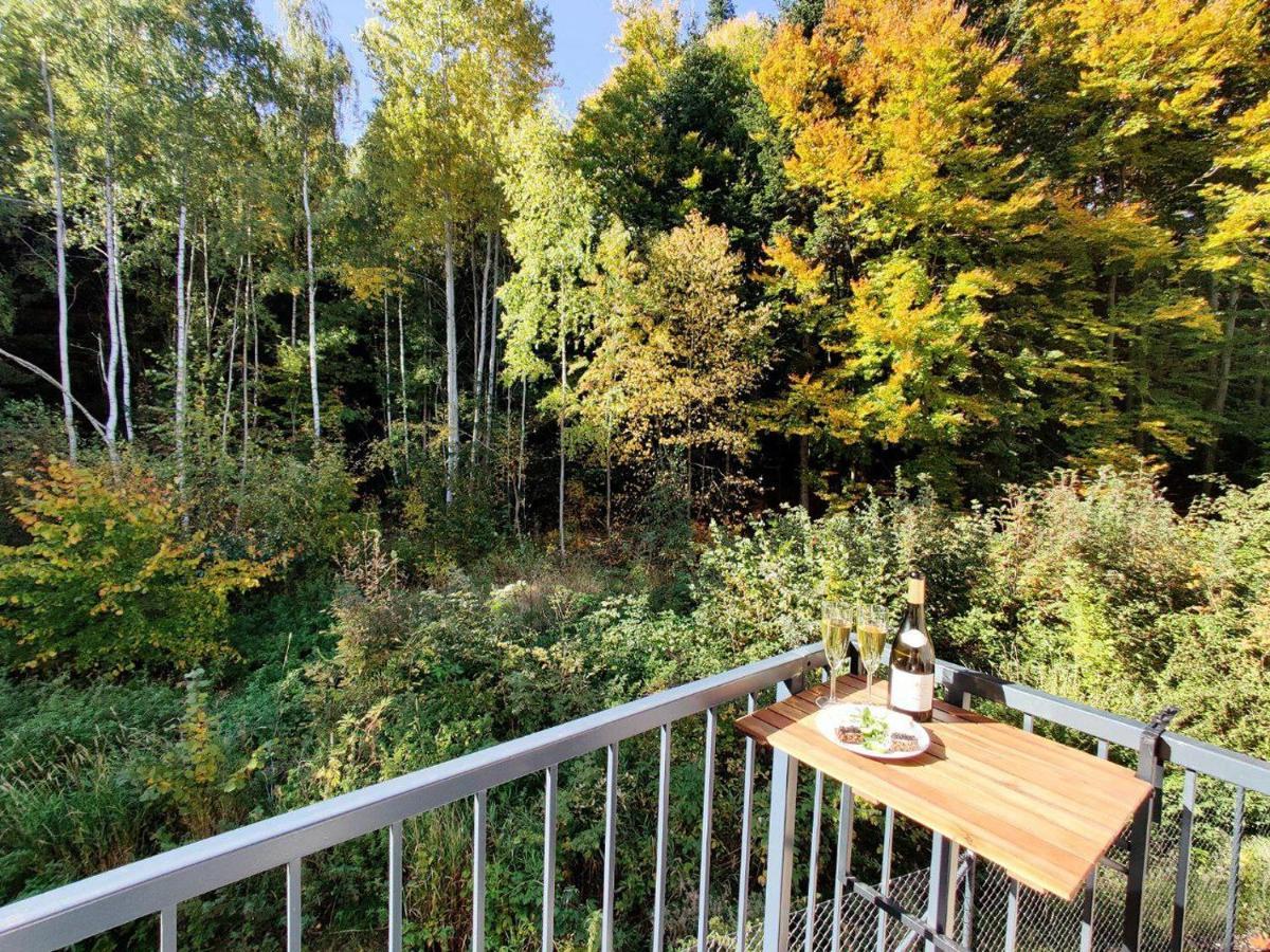 Apartment Grun Wald Марианске-Лазне Экстерьер фото